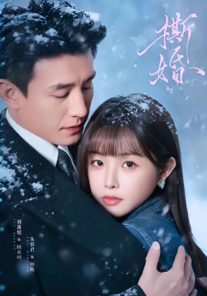 撕婚（23集）全集