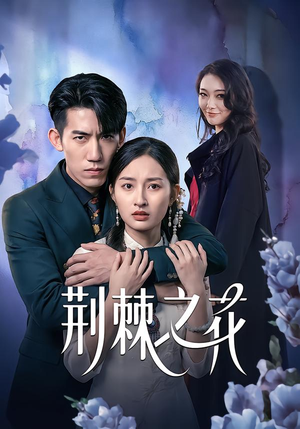 荆棘之花（100集）每日分享短剧