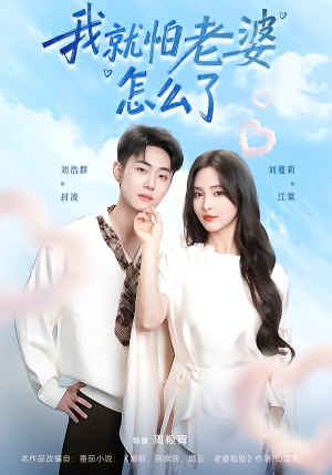 我就怕老婆怎么了（88集）网络小短剧