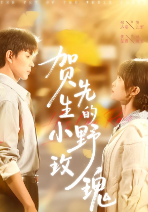 贺先生的小野玫瑰（99集）短剧看全集
