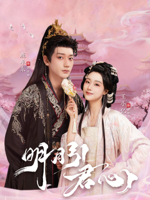 明月引君心（74集）短剧精彩推荐