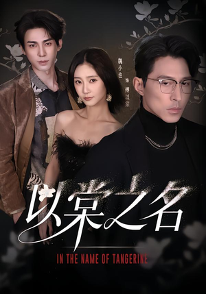 以棠之名（66集）我真的爱了