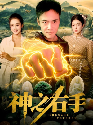 神之右手（100集）免费看全集