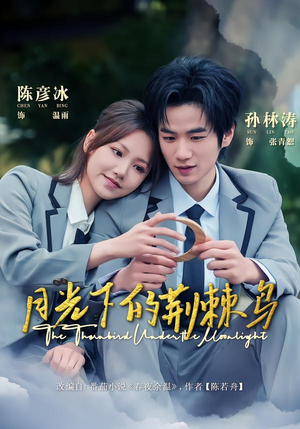 月光下的荆棘鸟（80集）这部短剧太好看