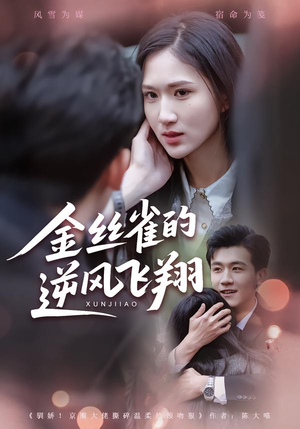 金丝雀的逆风飞翔(80集) 金丝雀的逆风飞翔(80集)爆火短剧追不停