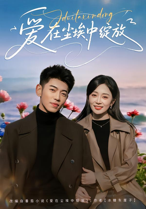 爱在尘埃中绽放（86集）好看的短剧