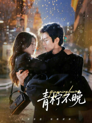 青柠不晚（78集）第三季