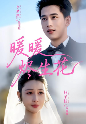 暖暖烬生花（65集）短剧追不停