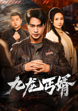 九龙丐婿（81集）精彩的网络短剧