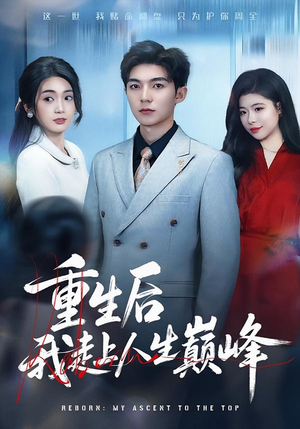 重生后我走上人生巅峰（80集）最火爆短剧