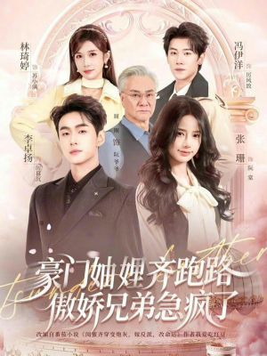 妯娌齐跑路傲娇兄弟急疯了（70集）百度网盘在线看
