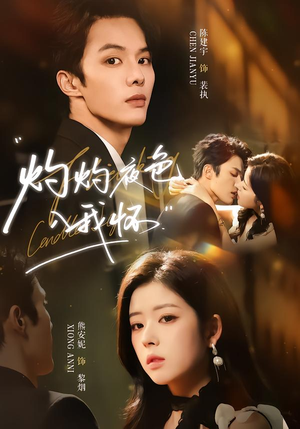 灼灼夜色入我怀（60集）免费短剧推荐