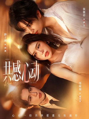 共感心动（66集）视频在线看