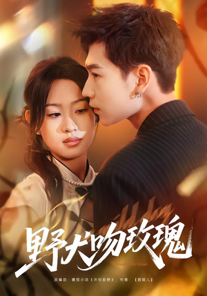 野犬吻玫瑰（70集）免费看