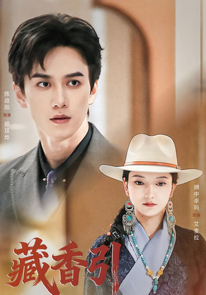 藏香引（63集）海量资源免费看