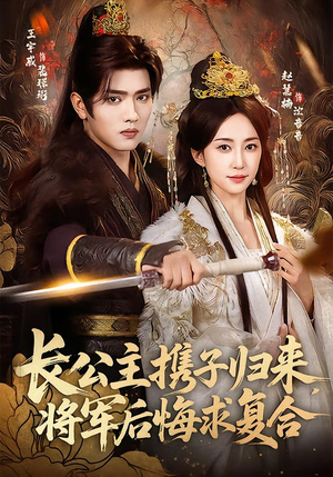 长公主携子归来，将军后悔求复合（80集）短剧有好货推荐