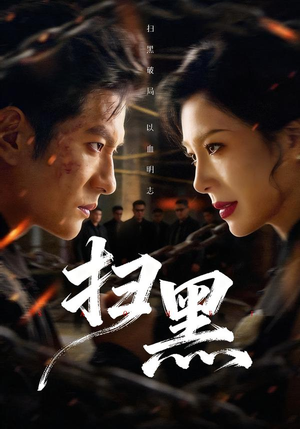 扫黑（70集）无需会员轻松看