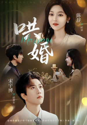 哄婚（67集）大结局