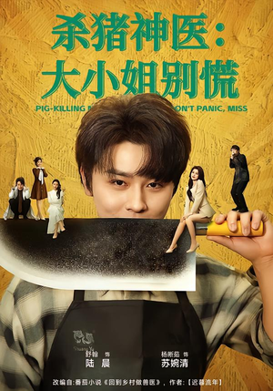 杀猪神医,大小姐别慌(80集) 杀猪神医,大小姐别慌(80集)短剧全集免费看