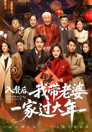 入赘后，我带老婆一家过大年（60集）经典回顾免费看