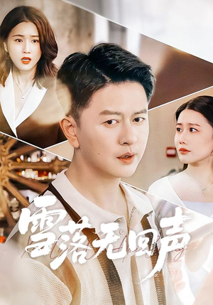 雪落无回声（60集）免费短剧资源