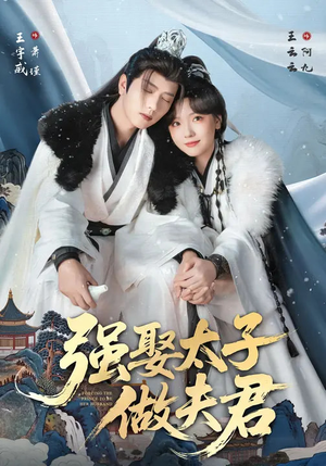 强娶太子做夫君（67集）第32集