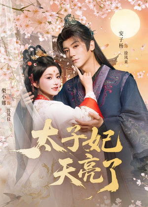 太子妃天亮了（80集）免费短剧看全集