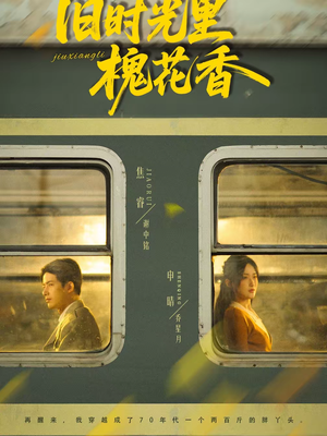 旧时光里槐花香（70集）爱短剧爱追剧