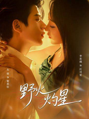 野火灼星（56集）一口气看完