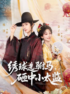 绣球选驸马,砸中小太监(81集) 绣球选驸马,砸中小太监(81集)好看吗
