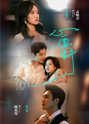 心要野（62集）全剧看到大结局