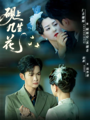 砚上几生花（62集）爆款短剧追不停