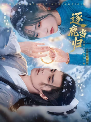 逐鹿当归（34集）大结局