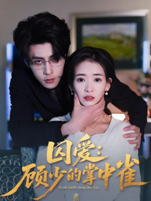 囚爱：顾少的掌中雀（70集）最新热门短剧