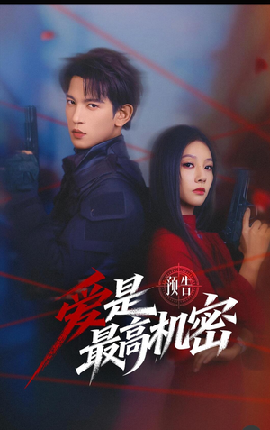 爱是最高机密（24集）热播古装短剧