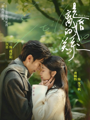 是离婚的关系（67集）精彩短剧看全集