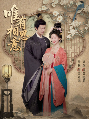 唯有相思意（100集）越看越好看短剧