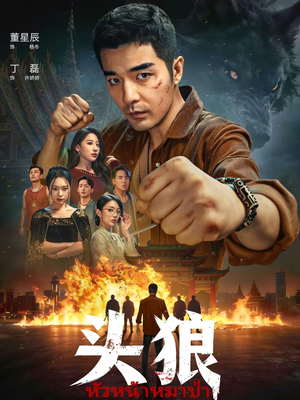 头狼（77集）短剧热播中