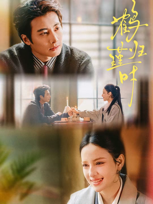 鹤归瑾时（81集）甜宠短剧推荐