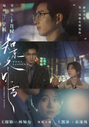 知京冬风雪（68集）全集免费