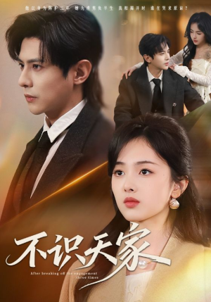 不识天家（69集）热播短剧重燃