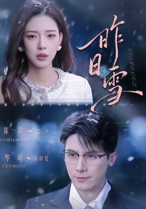 昨日雪（70集）一口气看完全集