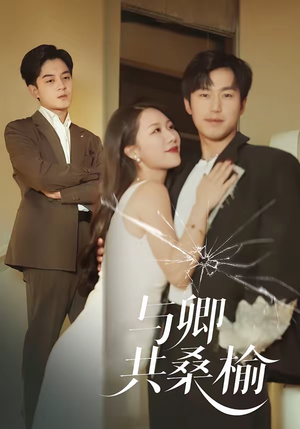 与卿共桑榆（63集）爆火短剧推荐