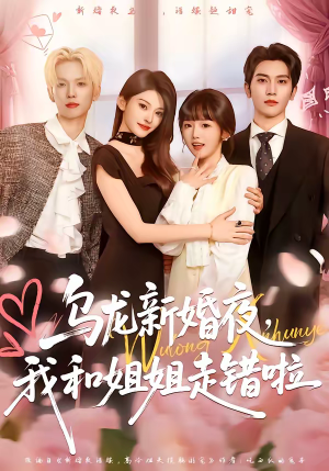 乌龙新婚夜，我和姐姐走错啦（59集）精彩热门短剧