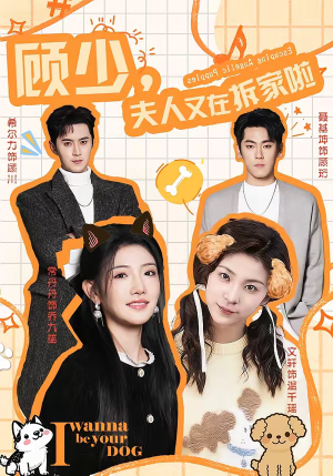 顾少，夫人又在拆家啦（78集）第二季