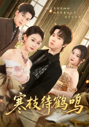 寒枝待鹤鸣（70集）短剧看全集