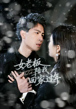 女老板陪我回家过年（40集）短剧太上头了
