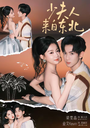 少夫人来自东北（80集）精彩短剧追不停