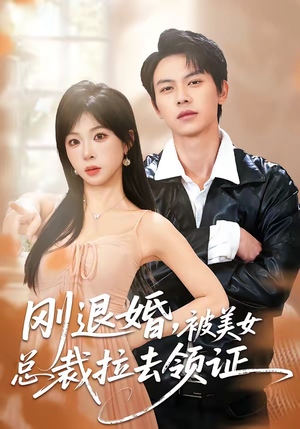 刚退婚，被美女总裁拉去领证（81集）海量短剧免费看