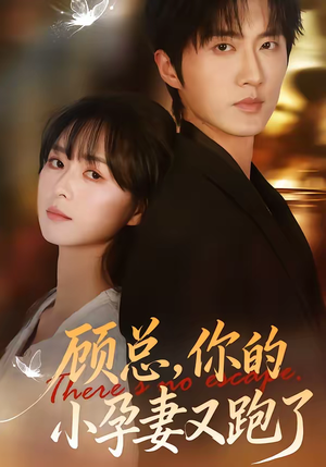 顾总，你的小孕妻又跑了（47集）短剧抢先看